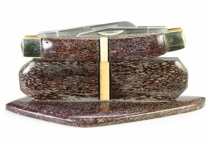 Pocket Knife w/ Fossil Gembone & Mammoth Tusk Inlays & Base #337598